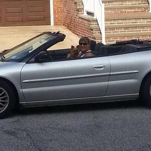 Meet your Posher, Norma